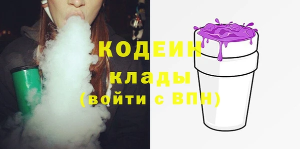 индика Верея