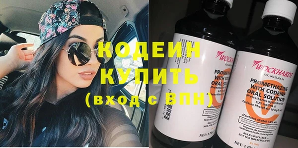 индика Верея