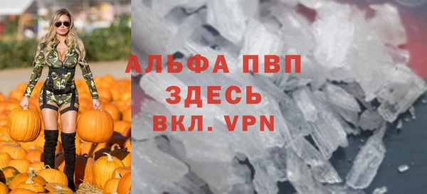 индика Верея